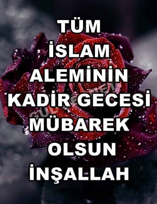 Işık Nuh (@iknuh1) on Twitter photo 