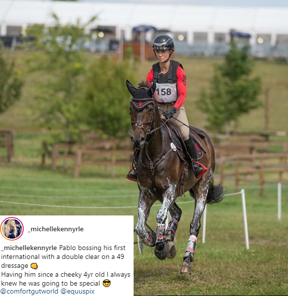 ComfortGutWorld's tweet photo. #ComfortGut can play a role in helping to maintain healthy gastric acid levels and can be fed long term without disrupting acid production which is required to break down food for proper digestion &amp; absorption of nutrients #horsechathour #emeraldbalms #equineblogger https://t.co/eZMODlbugO