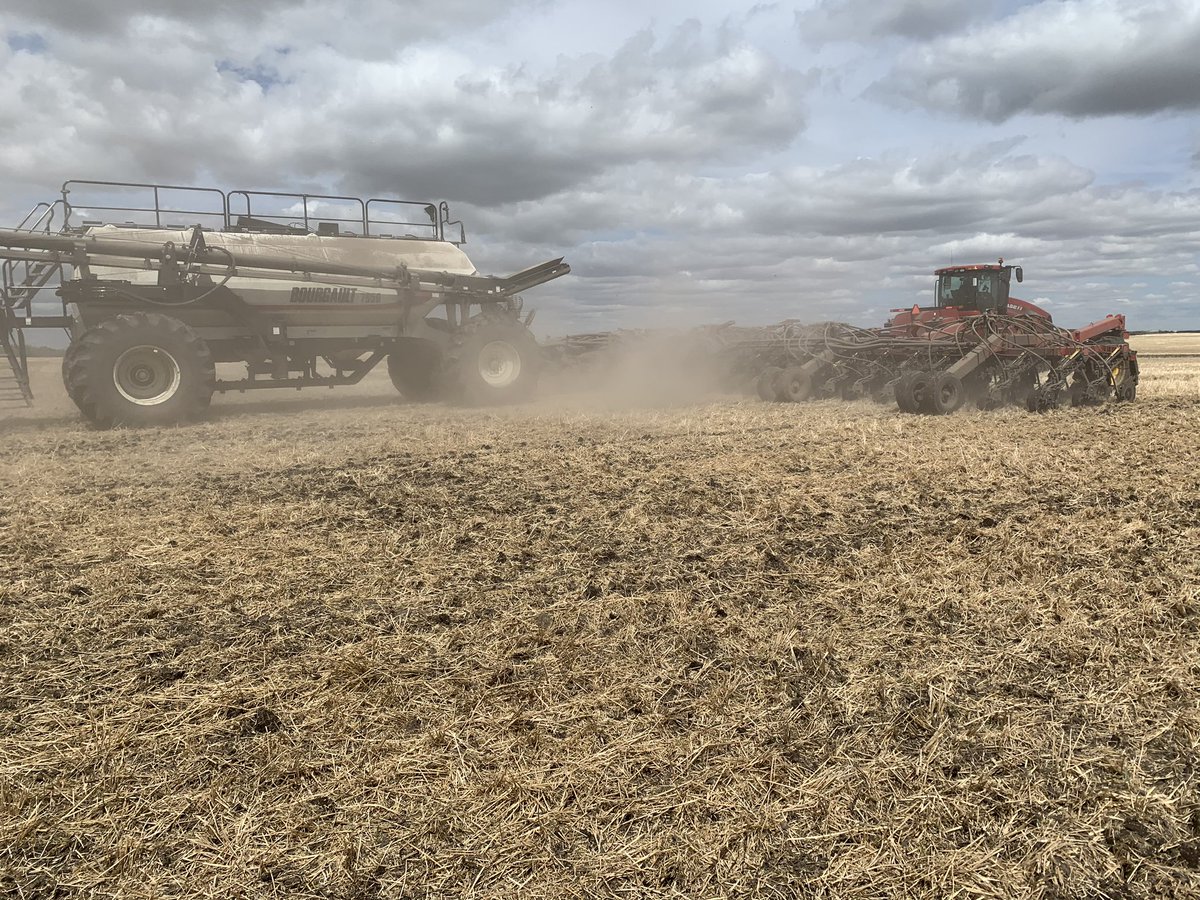 Amber Danderfer tweet media