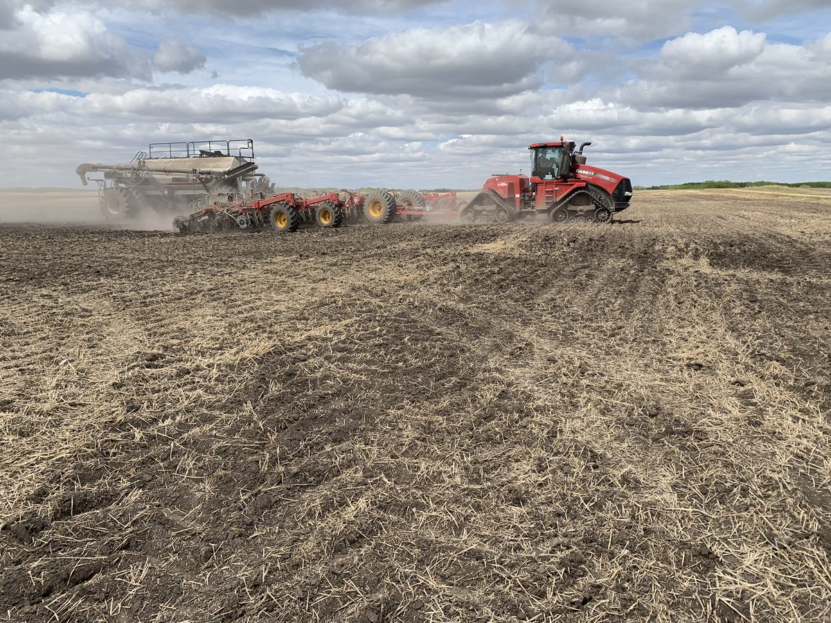 Amber Danderfer tweet media