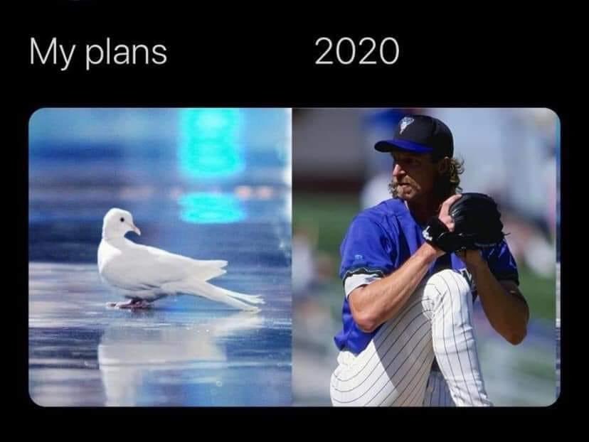 Webbdingus's tweet photo. Who did this? 😂😂😂😂#myplans2020 https://t.co/zK3cYK3RHH