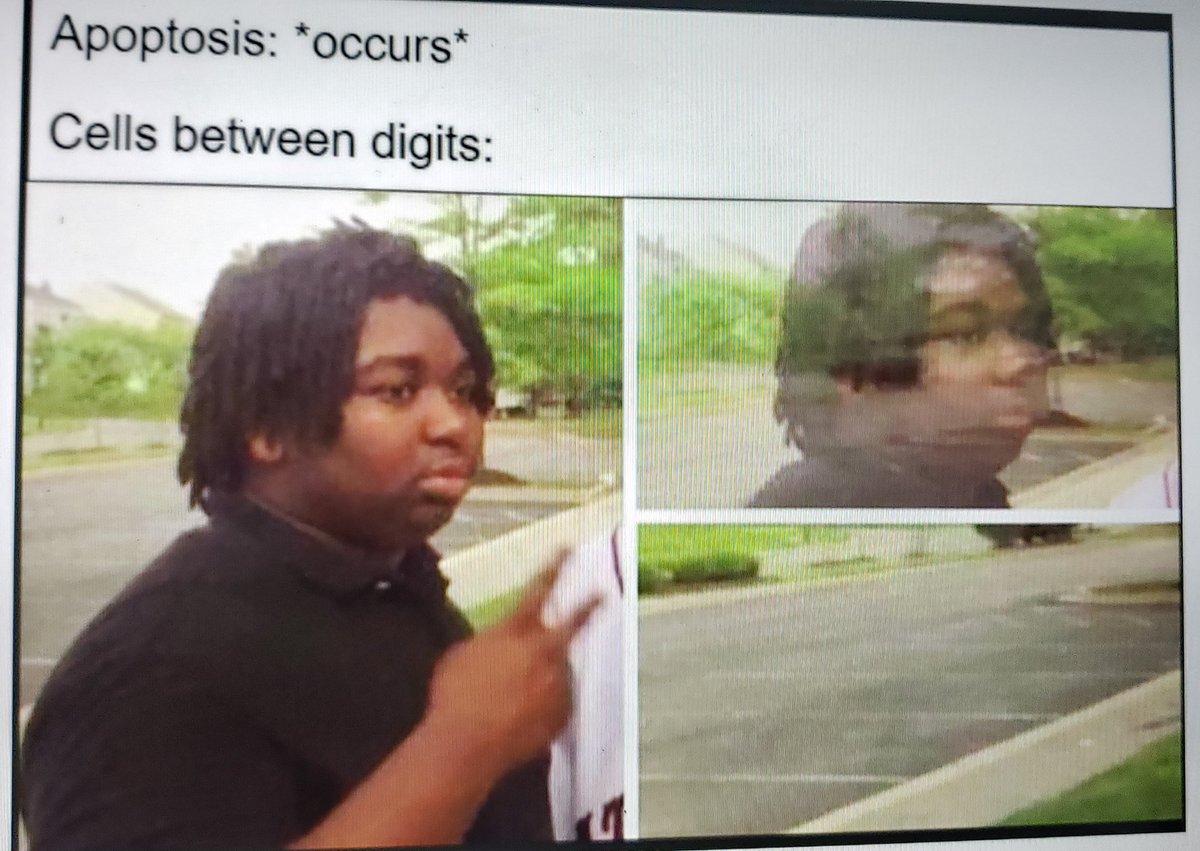 Scott Harkness tweet media