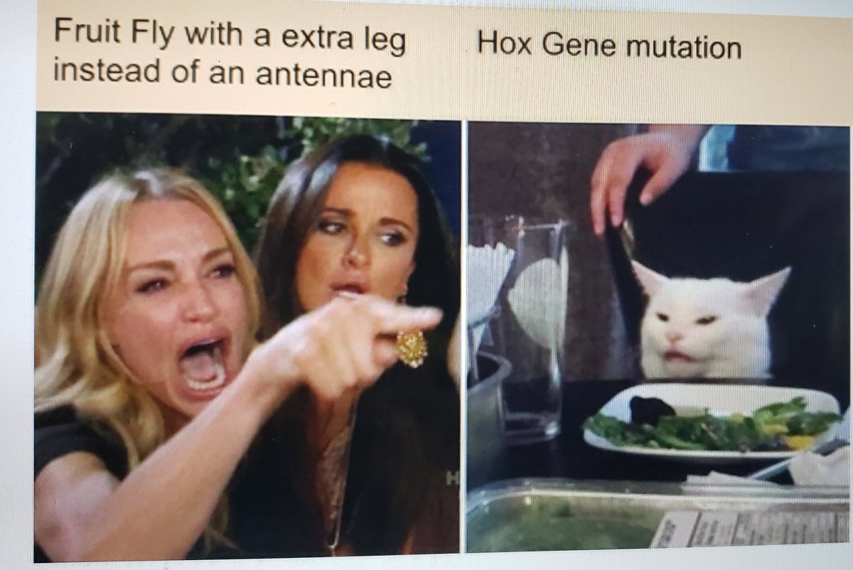 Scott Harkness tweet media