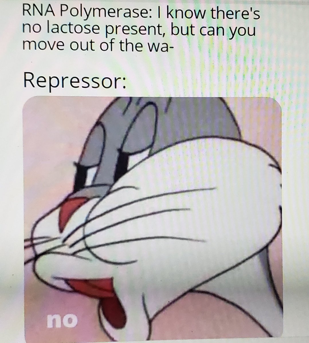 Scott Harkness tweet media