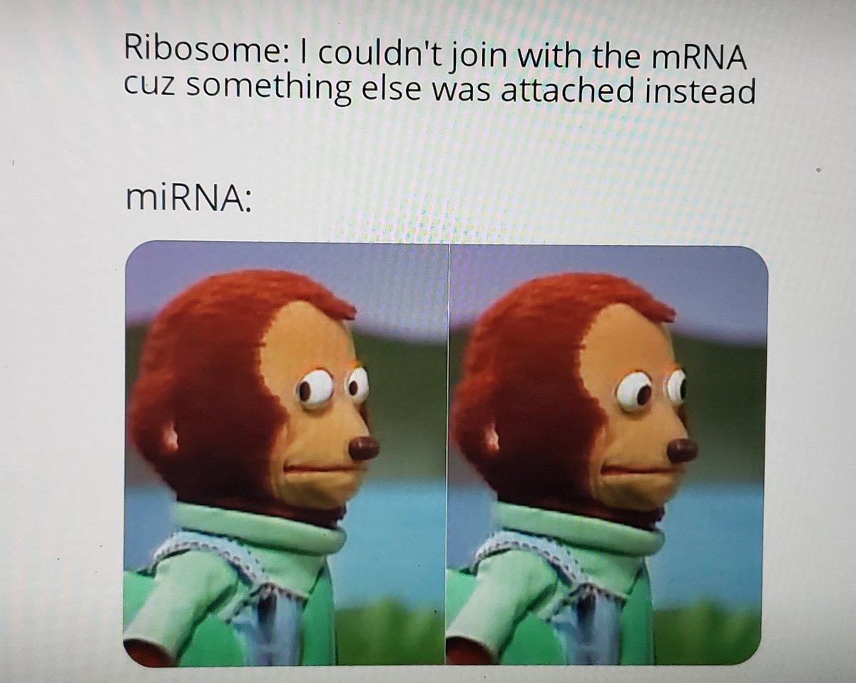 Scott Harkness tweet media