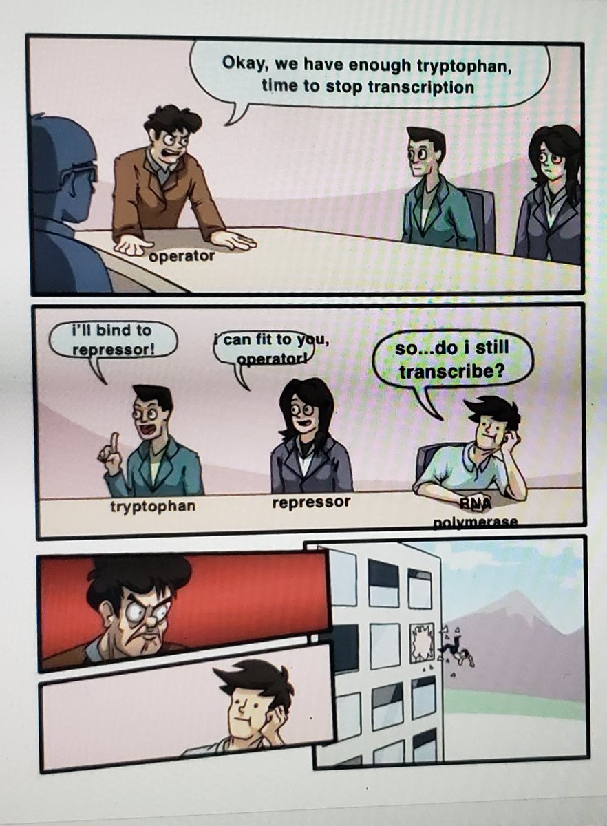 Scott Harkness tweet media