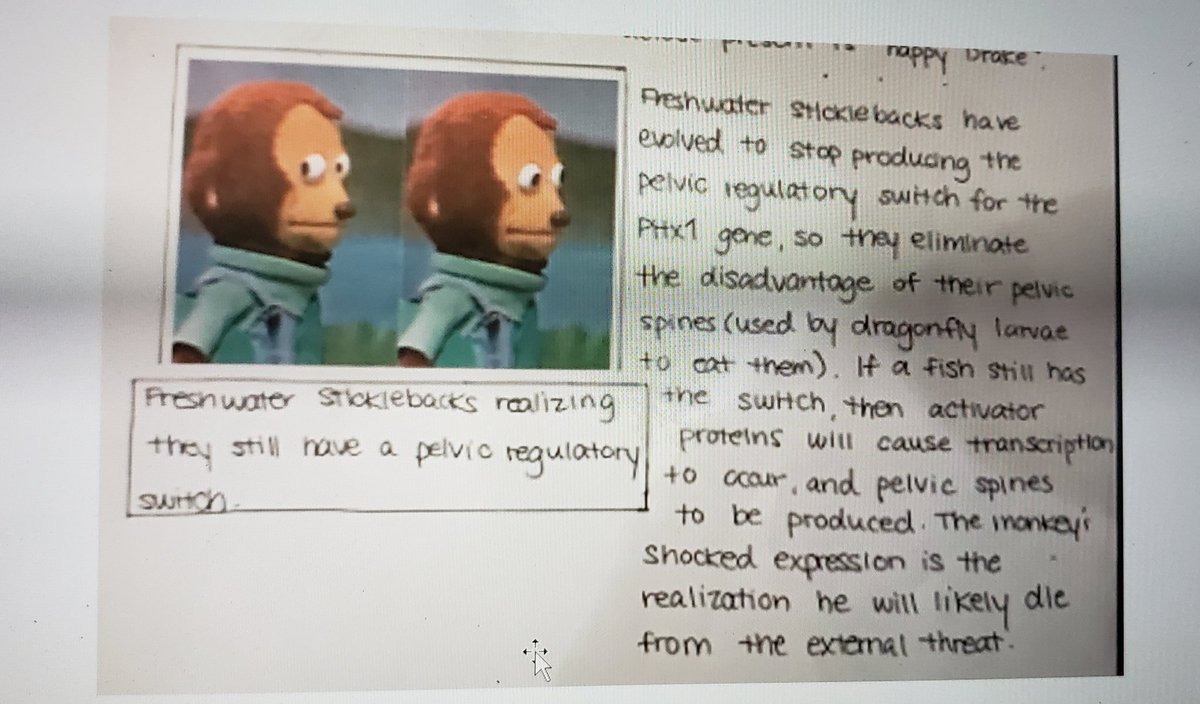 Scott Harkness tweet media