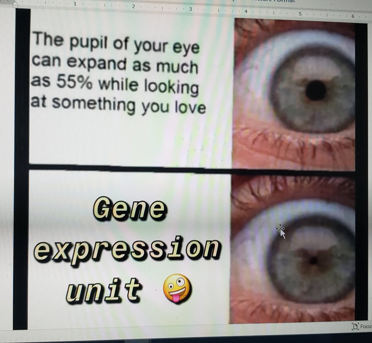 Scott Harkness tweet media