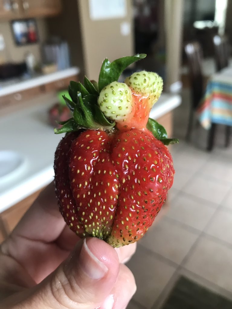 Gifted Feazel tweet media