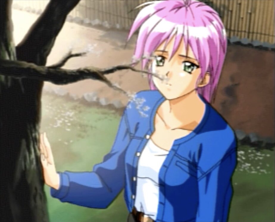 八重花桜梨 八重花桜梨
