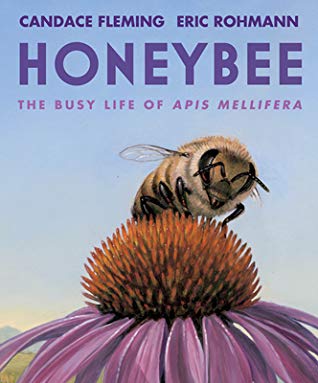 mstewartscience's tweet photo. ICYMI: Two Ways of Writing about Honeybees--Expository &amp; Narrative

https://t.co/2VEbmKgUIw

#3rdchat #4thchat #5thchat #tcrwp #teachwrite #tlchat https://t.co/2eQyavwRMq