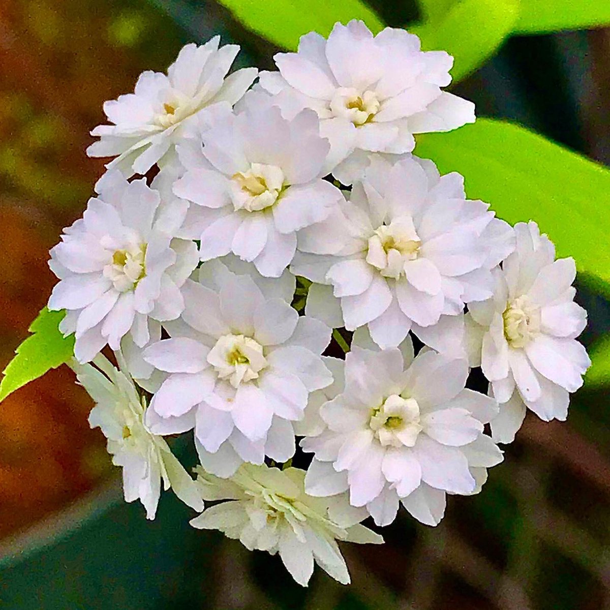 Dave Castro tweet media