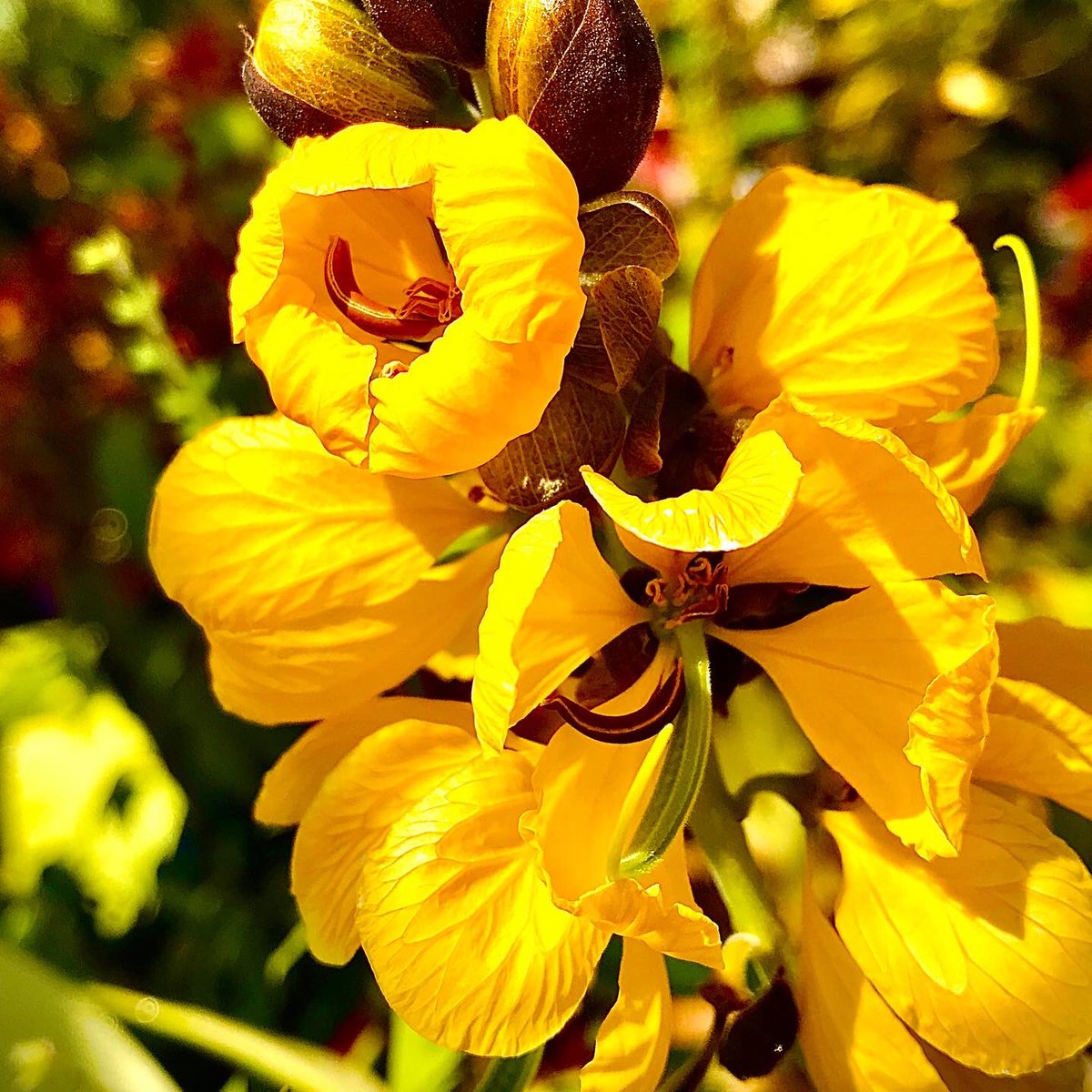 Dave Castro tweet media