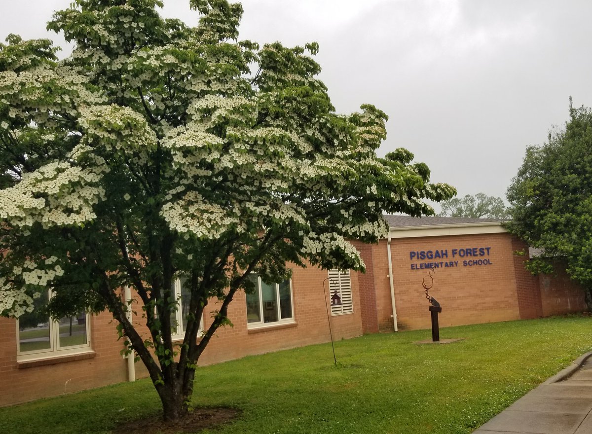 Tonya Treadway (@tmtreadway) on Twitter photo I just want to say... I LOVE my school! It's a great place to be, even on rainy days. <a href="/PFE_Rangers/">Pisgah Forest Elementary</a> #TCSyes #ilovemyschool I just want to say... I LOVE my school! It's a great place to be, even on rainy days. <a href="/PFE_Rangers/">Pisgah Forest Elementary</a> #TCSyes #ilovemyschool
