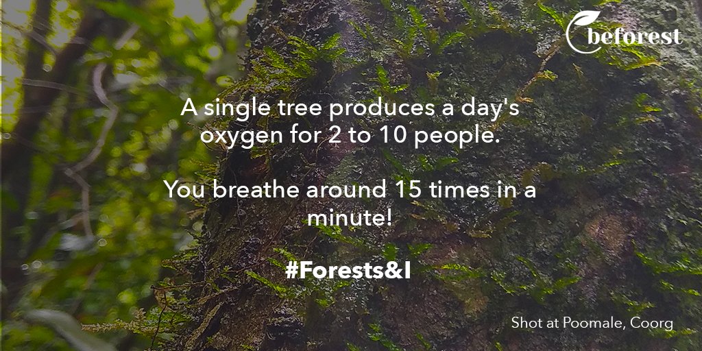 BeforestFarming's tweet photo. A single mature, leafy tree is estimated to produce a day's supply of oxygen for anywhere from two to 10 people.
#ForestsandI #Environment #BeforestFarming #Permaculture #SustainableLiving https://t.co/FVupVKW1gs