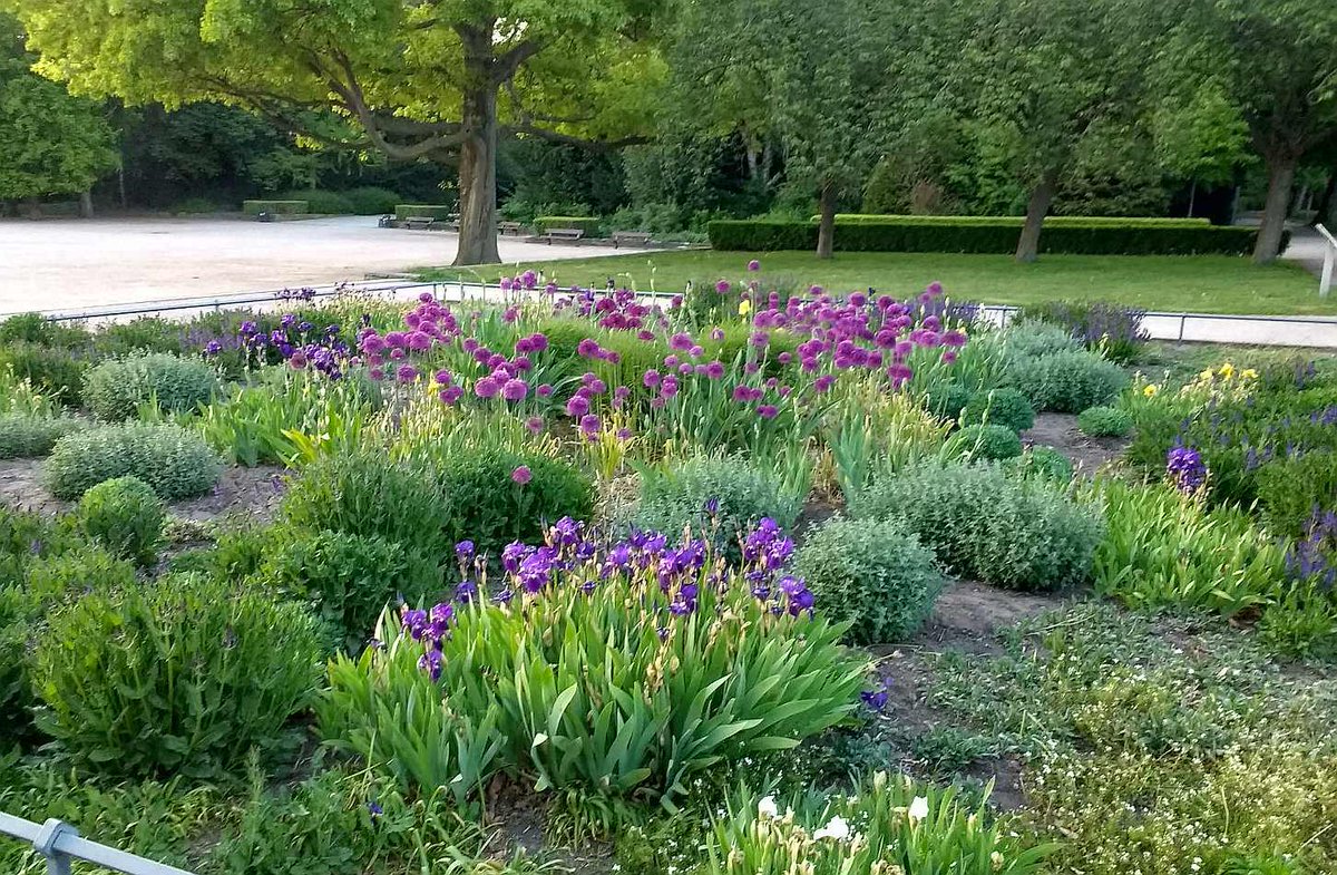 peac4love's tweet photo. 💐🍸🍷🎶🌈🌅#hamburg today🌺💜#Allieae💜🎨❤🌱🌼🌙#GoodEvening Friends🌖🌤💖☮✨☮peace☮✨💖✨love💖✨ No war!🌎🌳🚴‍♀️🏕🏔🍀🌱🥀🌷#COVIDー19 #staysafe https://t.co/CB5U1Dr4T1