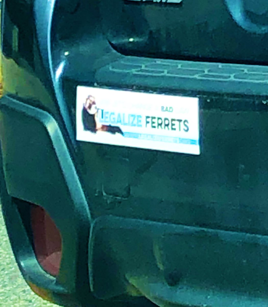 Brendon Walsh tweet media