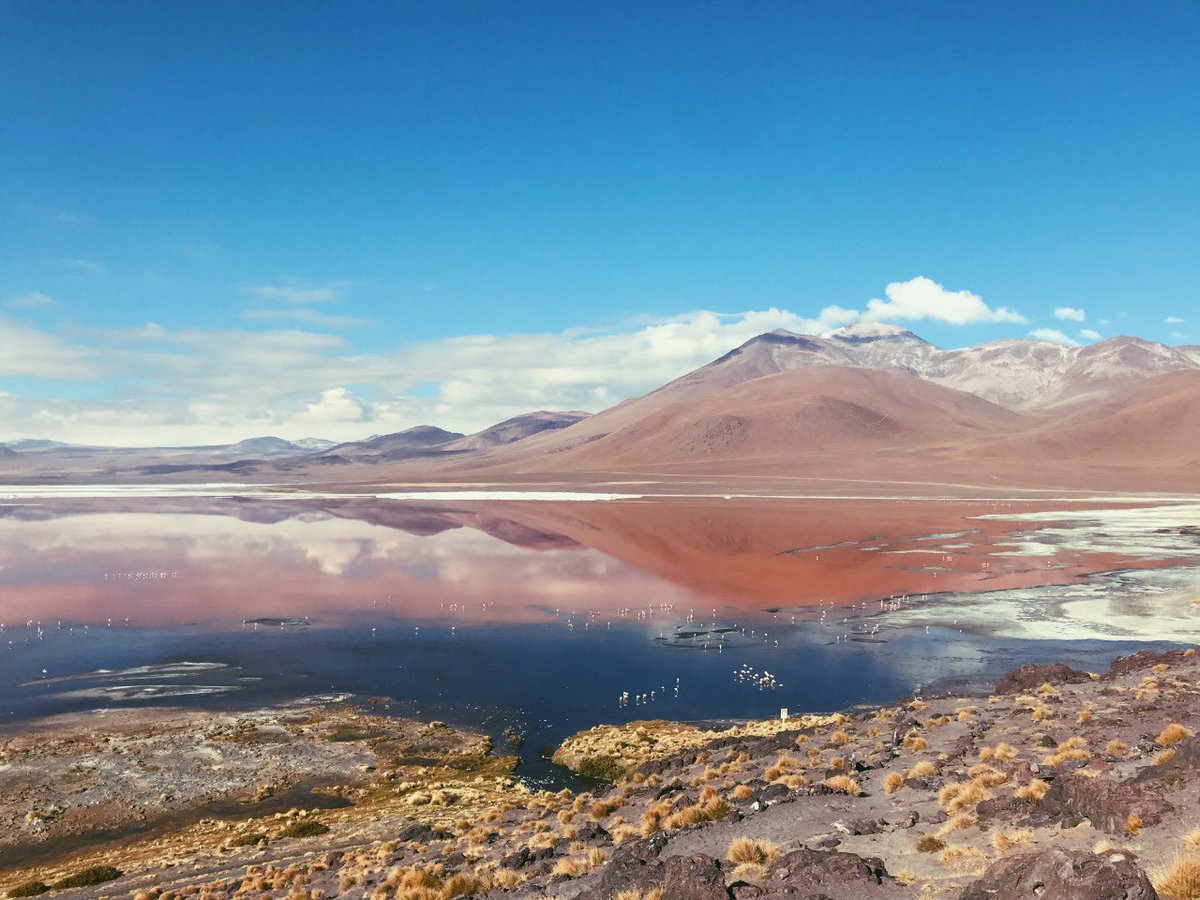 nomadic_co's tweet photo. Que las experiencias marquen una huella en tu vida✨ https://t.co/ksCuvNd6ID