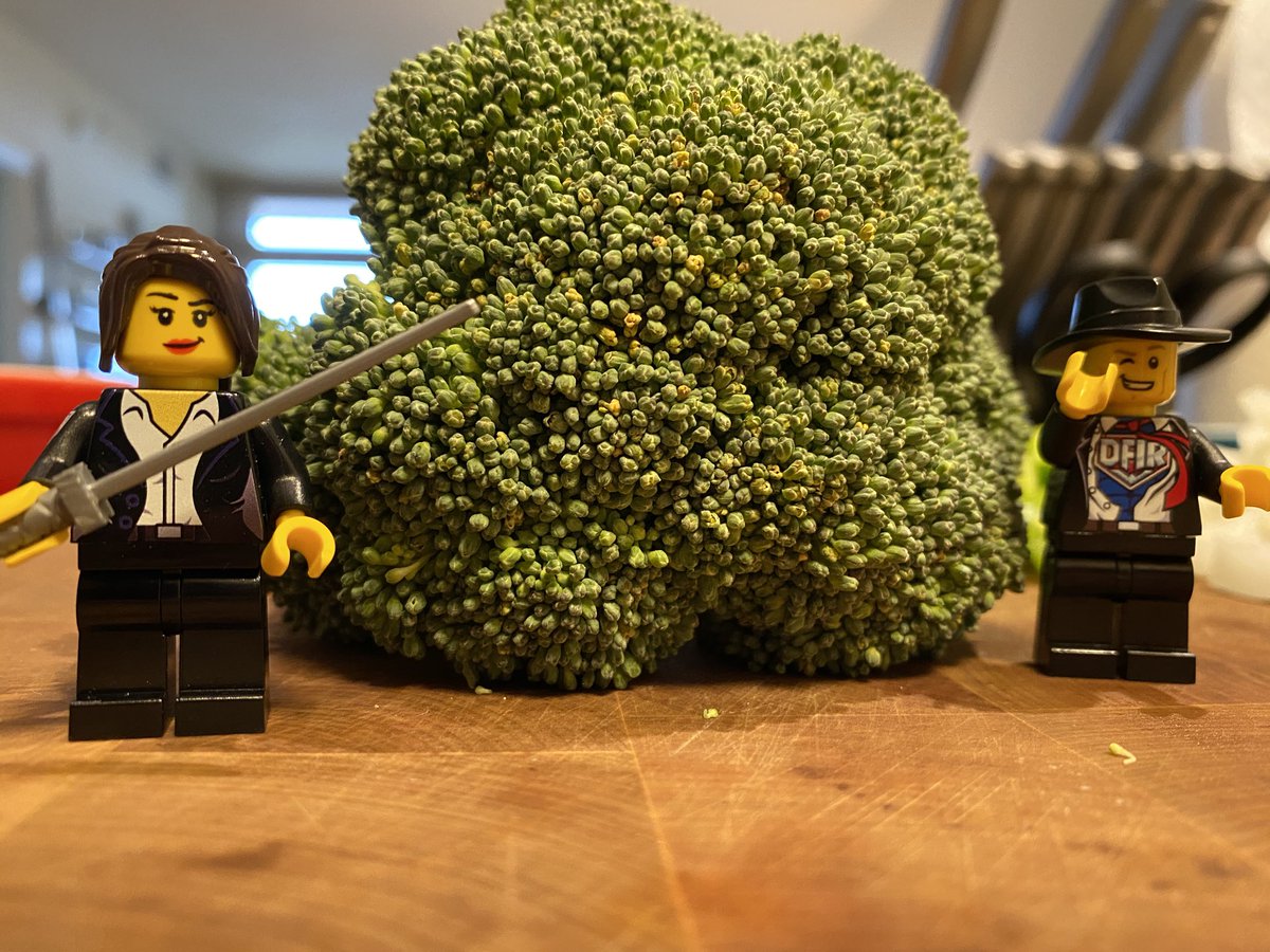 dfirforensicatr's tweet image. This broccoli ain’t going to cut itself! Time to use the sword for more than #DFIRatHome