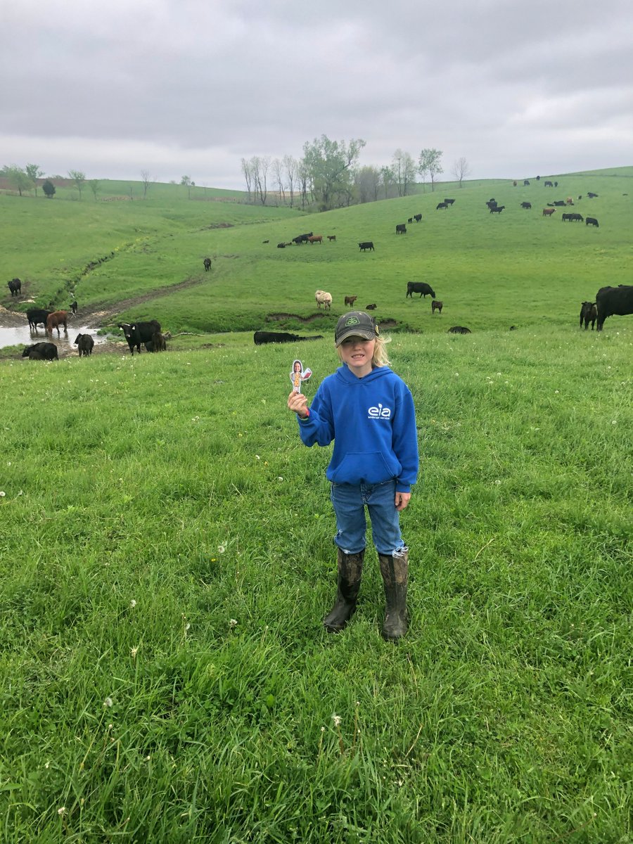 Today Flat Mrs. Krall Wieseler got to help King do his chores!  Look at that adorable calf!