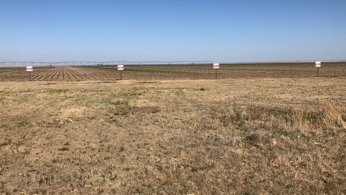 Buck_Farms's tweet photo. #Pioneer #P1572AM #P1828AM #P1847AML #P2042AML. Full Season plot. Keep an eye on these through the season. https://t.co/bykiajb0tT