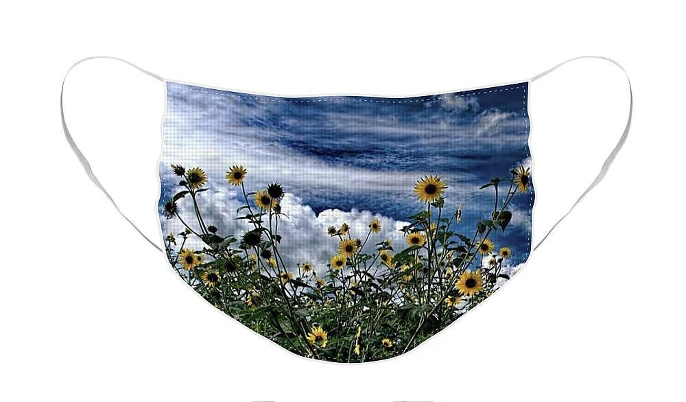 DianaMSharpton's tweet image. Wildflowers On The Brazos #DesignerFaceMasks #ForSale #FineArtAmerica #DianaMarySharpton buff.ly/2XUHLSo