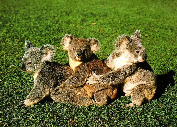 Tuesday, May 19th, 2020