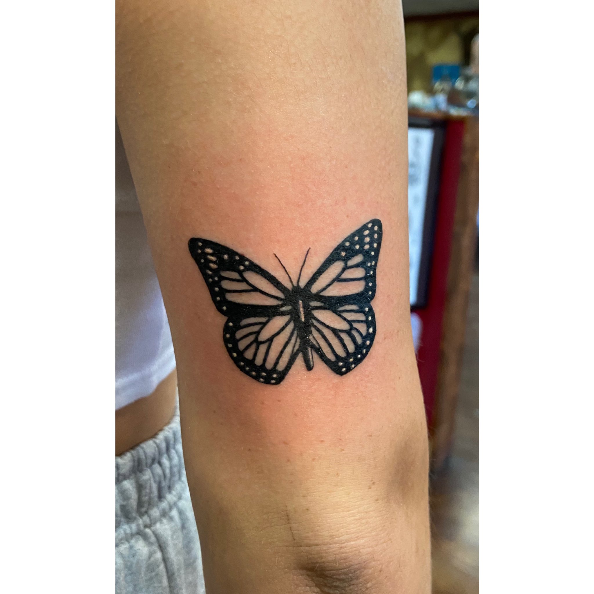 Premium Vector  Butterfly tattoo design by the artist elbow