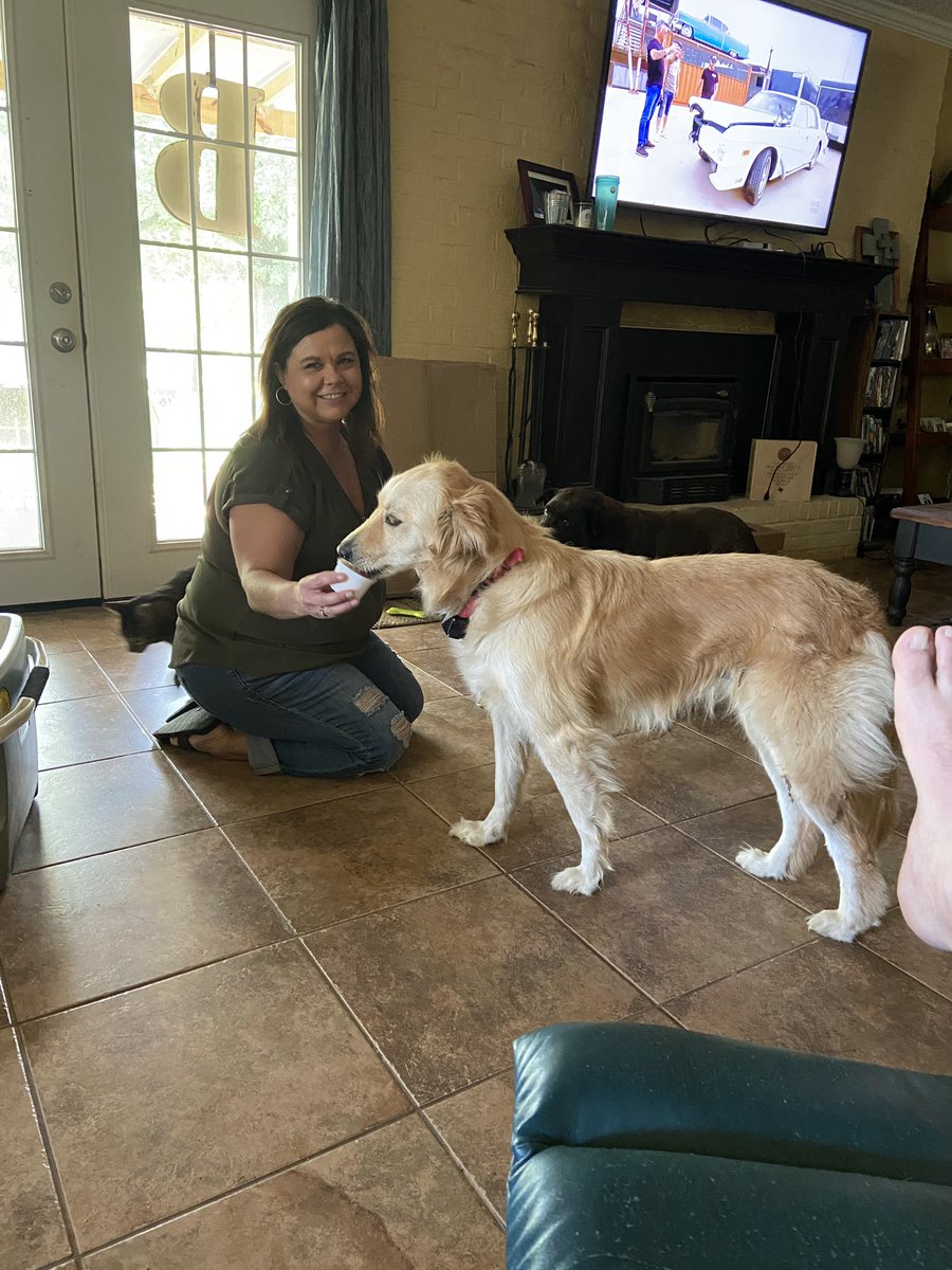_katiephinn's tweet photo. Dad said “your dogs are getting doggy ice cream” 🥺 also, my mom is so pretty https://t.co/axBmlxi45k