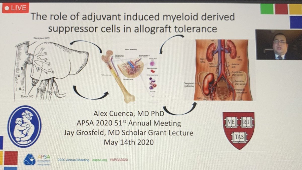 Steven Fishman (@stevenfishmanmd) on Twitter photo Incredibly proud of Dr. Alex Cuenca, who shared his work on allograft tolerance at #APSA2020. His work is supported by the <a href="/APSASurgeons/">APSA Surgeons</a> Jay Grosfeld Scholar Grant and recognizes his outstanding potential as a surgeon-scientist. Congrats @AlexCue37498344! <a href="/BostonChildrens/">Boston Children's</a> Incredibly proud of Dr. Alex Cuenca, who shared his work on allograft tolerance at #APSA2020. His work is supported by the <a href="/APSASurgeons/">APSA Surgeons</a> Jay Grosfeld Scholar Grant and recognizes his outstanding potential as a surgeon-scientist. Congrats @AlexCue37498344! <a href="/BostonChildrens/">Boston Children's</a>