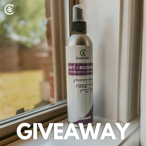 realcedarcide's tweet photo. Give your home a fresh Lavender Scent with our Pet + Bedding + Home Spray!π± Our spray does not fill your house with chemicals like the other stuff. RT and follow to enter to win! ππΏ
US only. Ends 5/26.
#cedarcide #giveaway #free #giveaways #natural #fresh #lavender https://t.co/CnOhMEPgO8