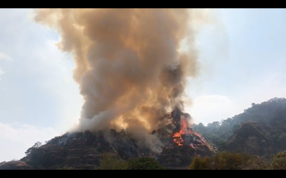 Morelos_TV's tweet photo. #MorelosTVInforma #AlMomento
🚨 Se registra fuerte incendio en Tepoztlán #Morelos
Esta tarde se registra un incendio posiblemente provocado en #Tepoztlan Vecinos de Santo Domingo #Ocotitlan piden ayuda para evitar el fuego llegue a casas cercanas. https://t.co/lOlV6Yeu72