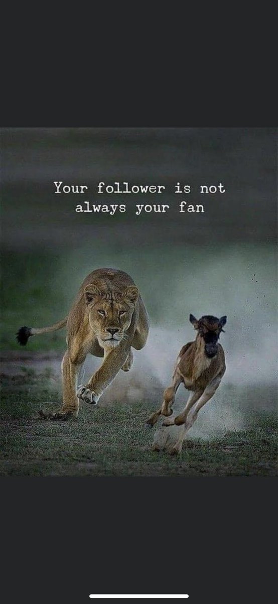 OG_Leadership's tweet photo. Leaders, heed this👇. Know that’s okay. But over time and too often and you may want to check yourself. Who’s coaching you? ⁦@OG_Leadership⁩ ⁦@Chris_Kolenda⁩ ⁦@AD_University⁩ ⁦@IMLCACoaches⁩ ⁦@IWLCA⁩ ⁦@WeAreAFCA⁩ https://t.co/Gc0okS4NMH