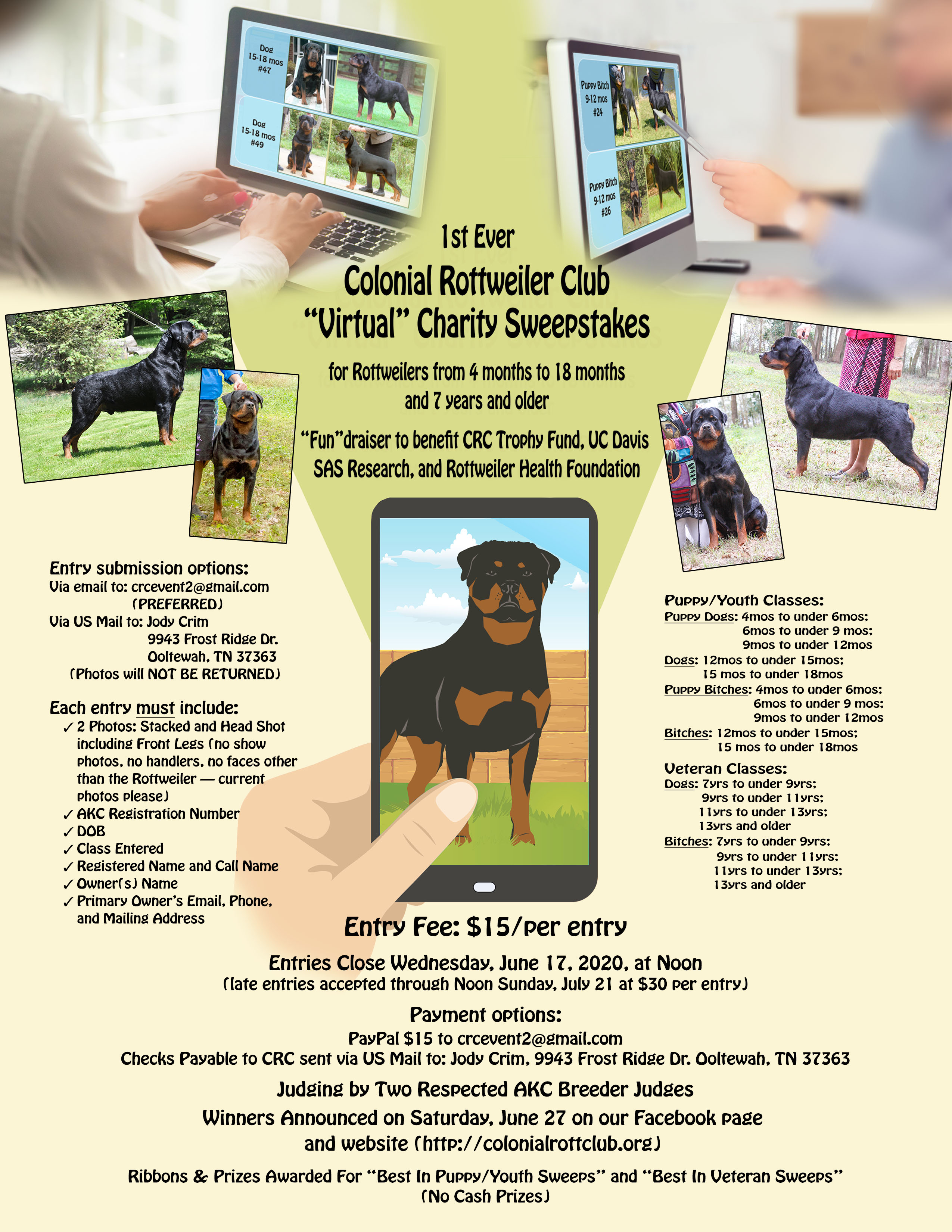 Colonial rottweiler best sale club