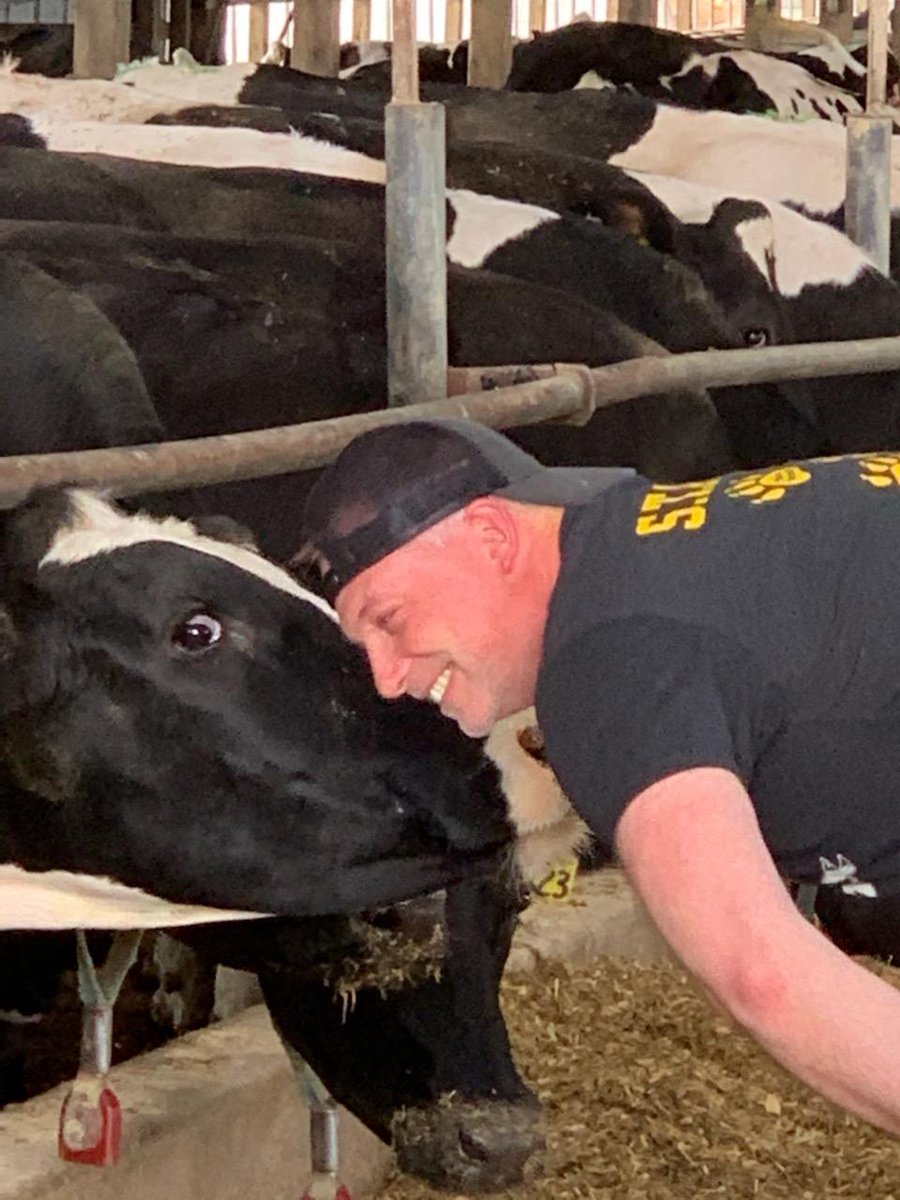 aberodemeyer's tweet photo. Congratulations byron intermediate school students on meeting your reading goal. Mission accomplished! Thankyou Daly Farm. #bisstars #byronbears,#MOOtastic https://t.co/CWGyRLimam