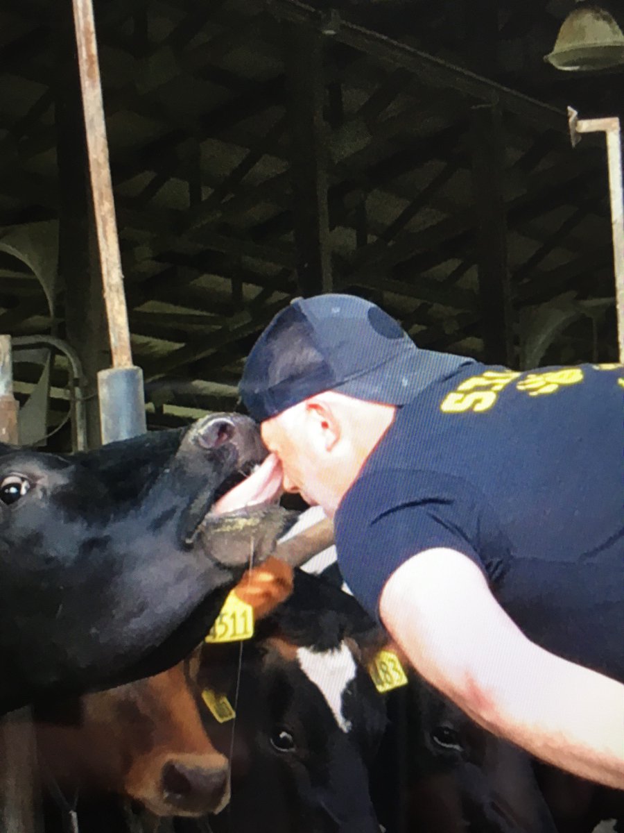 aberodemeyer's tweet photo. Congratulations byron intermediate school students on meeting your reading goal. Mission accomplished! Thankyou Daly Farm. #bisstars #byronbears,#MOOtastic https://t.co/CWGyRLimam