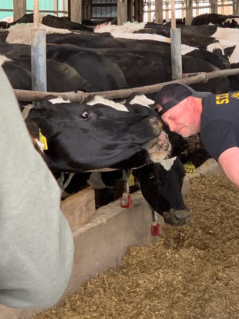 aberodemeyer's tweet photo. Congratulations byron intermediate school students on meeting your reading goal. Mission accomplished! Thankyou Daly Farm. #bisstars #byronbears,#MOOtastic https://t.co/CWGyRLimam