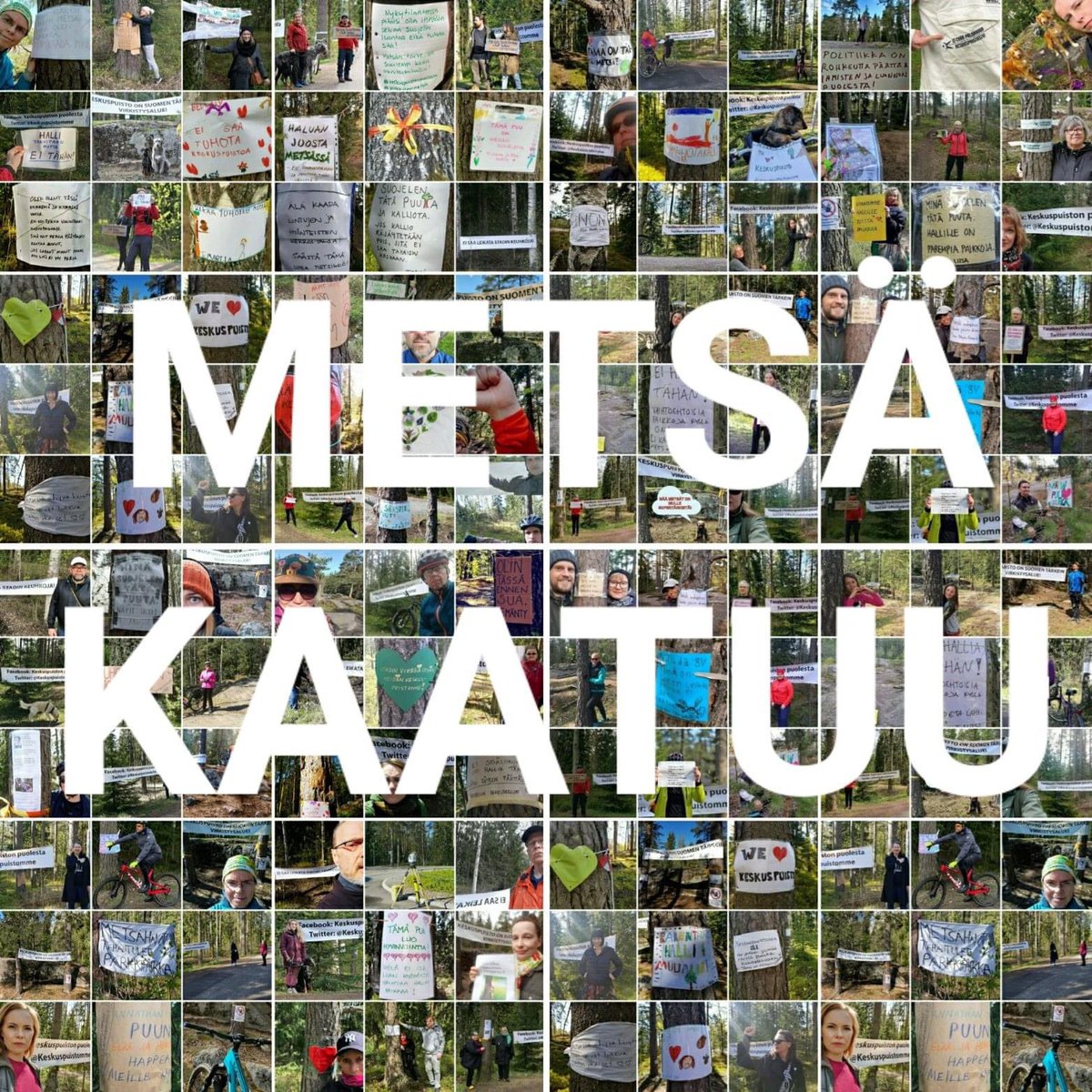 PeltolanMikko's tweet photo. Surullinen päivä @helsinki luonnolle. Monitoimihallin alta tuhotaan jylhät kalliot ja vanha metsä. Asia sinetöitiin eilen. Vaihtoehtoja ei edes haluttu katsoa. Se kertoo paljon kaupungin päättäjien arvostuksesta luontoa kohtaan. #keskuspuistonpuolesta #pirkkolanmetsä #helsinki https://t.co/31ePqgwqHQ