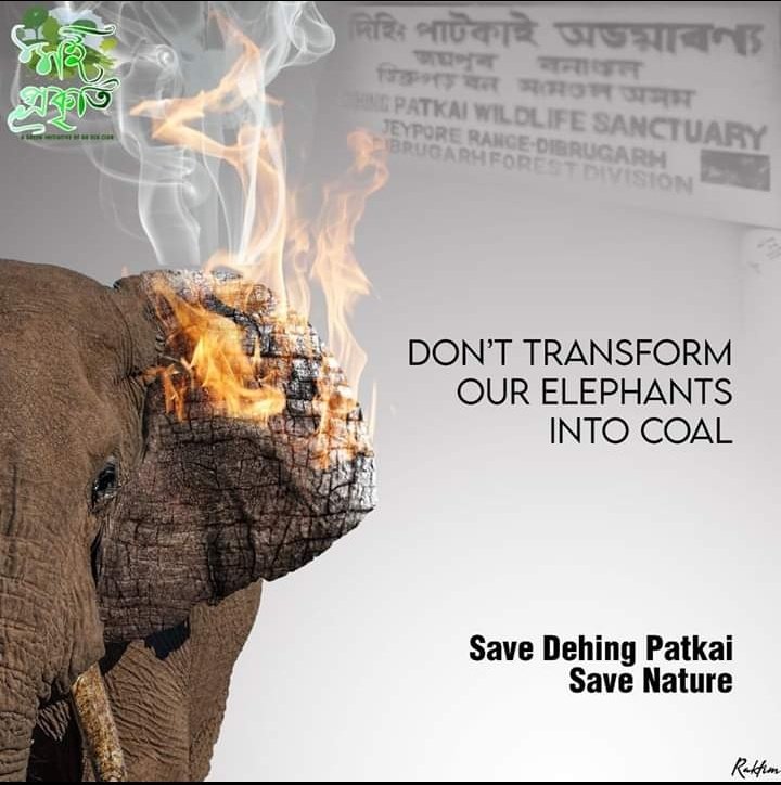debashresharma's tweet photo. #savedehingpatkai 
#imdehingpatkai
#StopCoalMiningProject https://t.co/I0ozGPiZHv