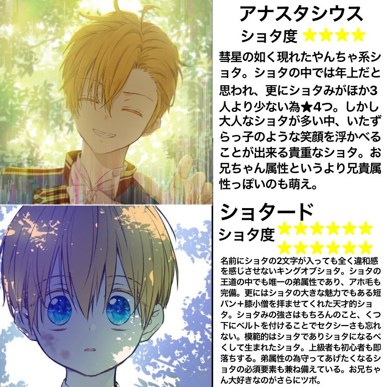 夢歌 בטוויטר 再掲 私の独断と偏見によるある姫ショタ度解説表です W ある日お姫様になってしまった件について ある姫