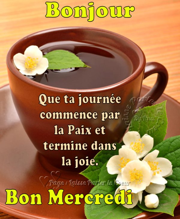 IntroPasc's tweet photo. @Mel81451199 @Sandrabon14 @csilvi72 @Mel81451199 @KateRoc13 @LSoubranne @Garance60 @chaussat_helene @EminCatherine @LgGwena88 @SarahLa85885259 
@IsraelFrancais @ELISE232425 @Cdegasquet @AgnesChomet 
Gros bisoux mes ampurs❤️❤️❤️❤️❤️❤️❤️❤️ https://t.co/0kpgKo1sqn