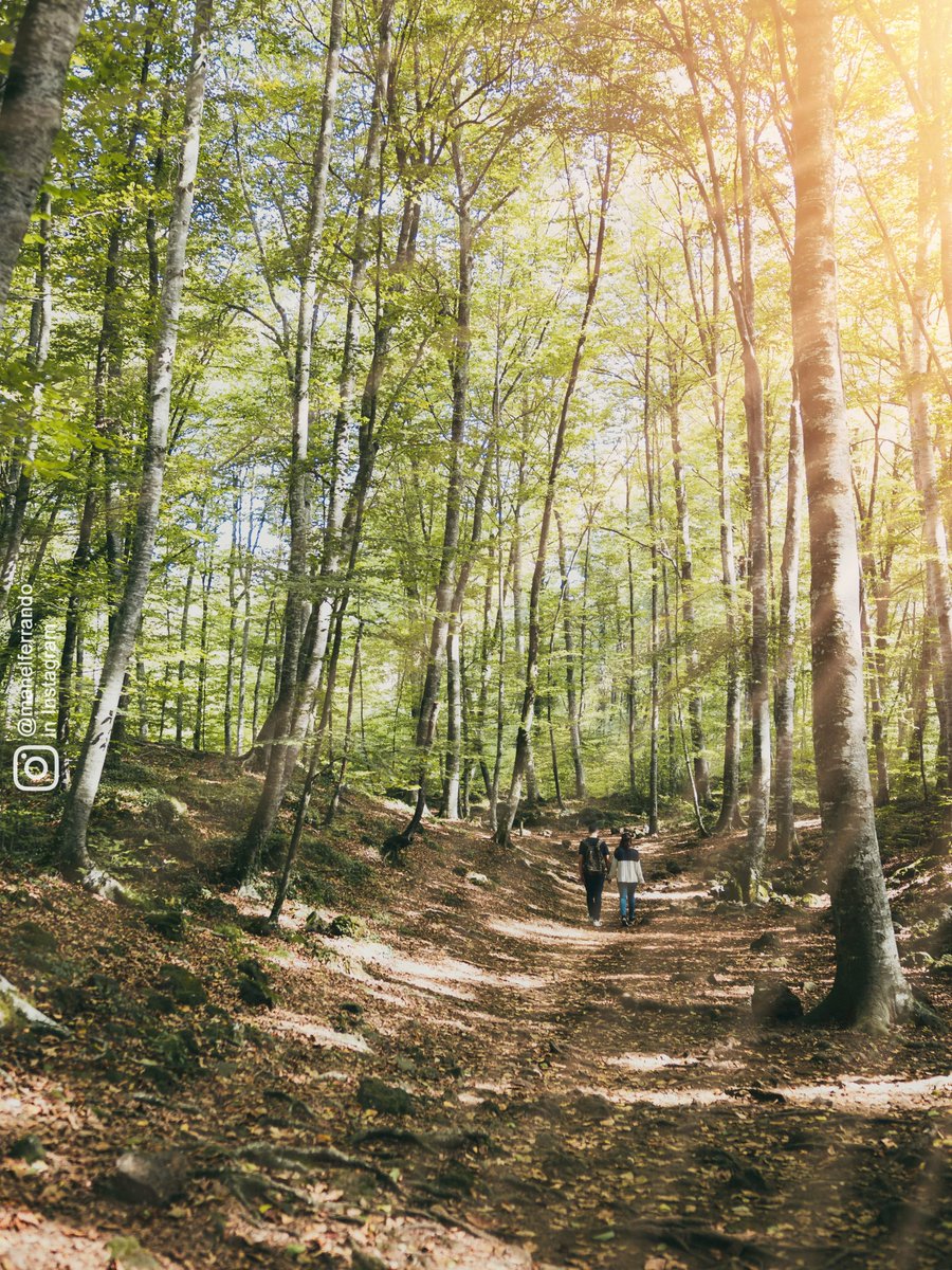 manel_ferrando's tweet photo. Compartir no necesita recompensa: ésta viene por sí misma. #Garrotxa #lagarrotxatespera #catalunyaexperience #ThePhotoHour #500pxrt #PintoFotografia #photography #roamtheplanet Si te gustan mis fotos, visita mi Instagram en: https://t.co/iOYG8uWFXM https://t.co/2Qq65kUQxz