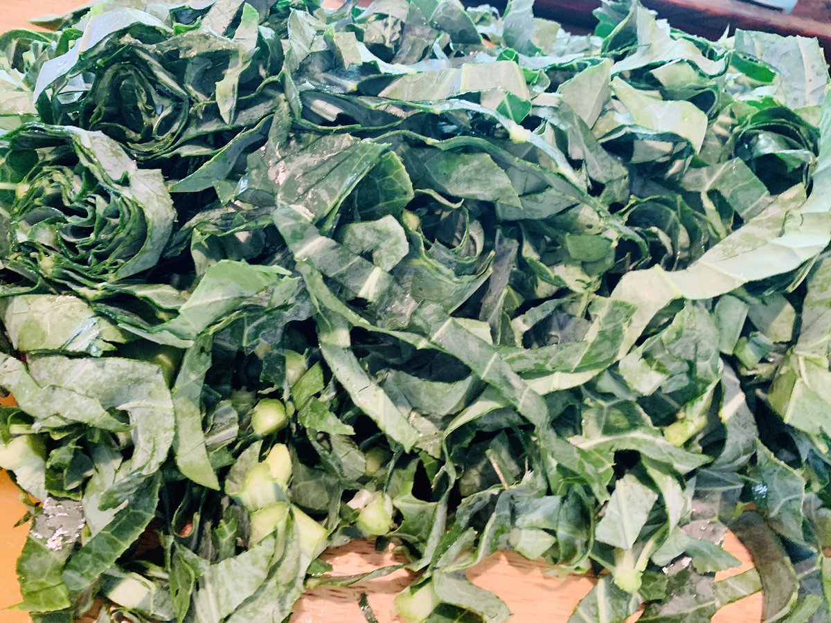 loriharvin's tweet photo. Collard greens
Roasted Rutabagas 
Sharp pepper jack mac-n-cheese
Hoe cakes 
@chefandthef
#somewheresouthpbs https://t.co/ougc932fJs