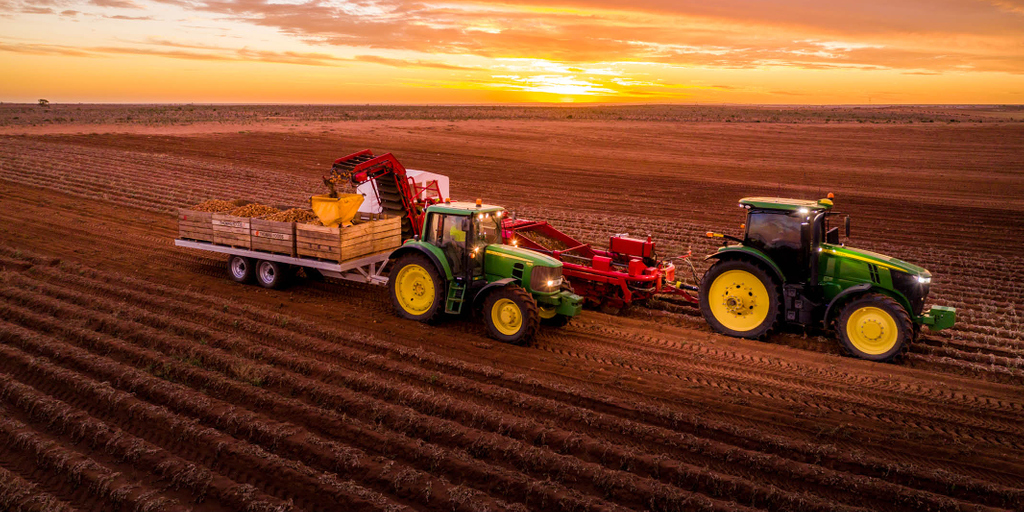 Thomas Farms tweet media