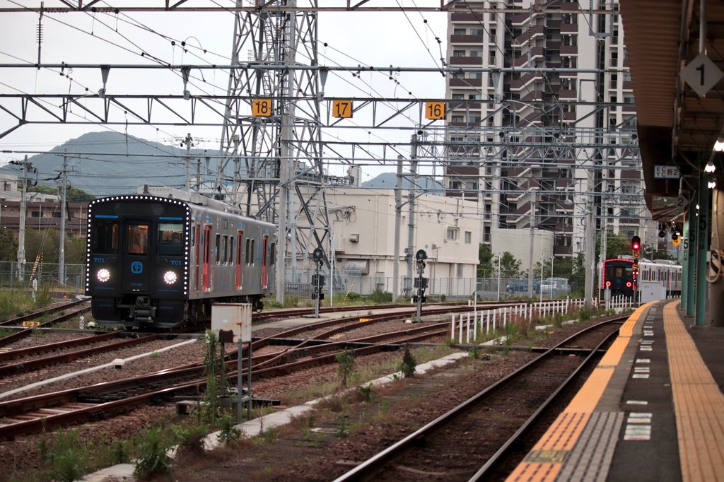 苺風　0605 苺風 0605 Litchi Pattern Solid Color Zipper Shoulder Bag(Brown