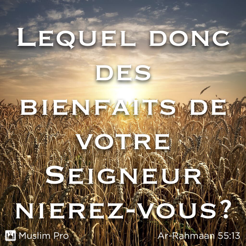 RappelEntreMuz's tweet photo. Surat Ar-Rahmaan (55) ✨ https://t.co/7SSwOH6EEs