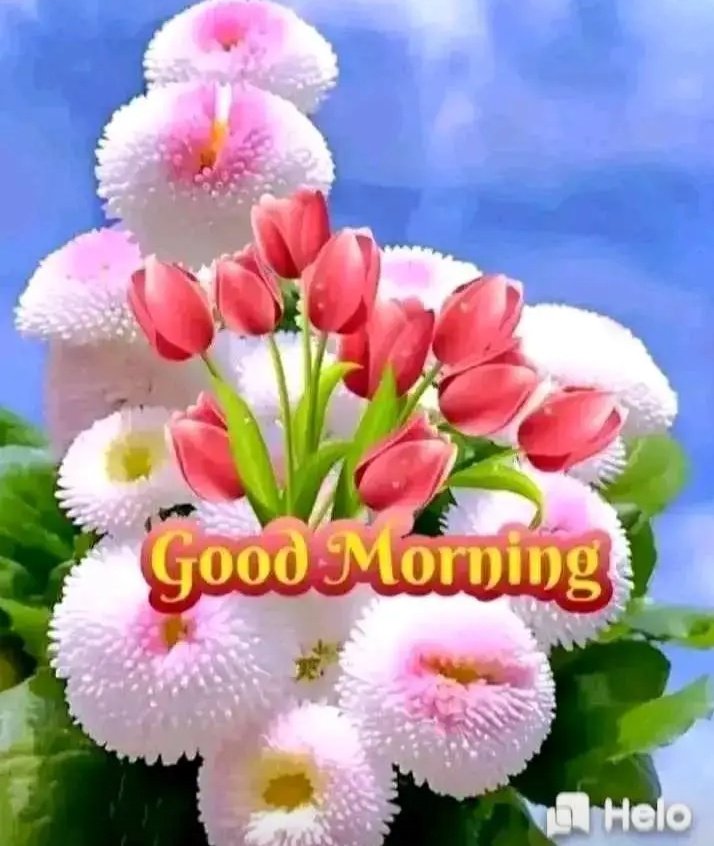 SushmaDwive_59's tweet photo. Good morning all swt sis🌹🌹
@Anjali72961777 @cute_thakurain
@sagarika_India
@MamtaSinghRajp9 @maheshvarig11 @chokidarsandhya @SarojSh27780370 @2422qazplm579 @cute_thakurain @itsSweta77 @KeshariPunam   @Real_Jyoti1 @InduGiri7 @Kumarigoldi2 @anju_ladli @sarita19ch @RashmiD11470752 https://t.co/1e10lcggZa
