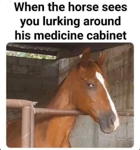 UrbnHandicapper's tweet image. Maximum Security 👇🏾👇🏾