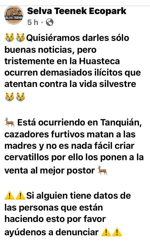 Mitzy_Mx's tweet photo. Esto está pasando en la #HuastecaPotosina #SanLuisPotosi Ayudemos a que la @PROFEPA_Mx encuentre y castigue a los responsables 😠 https://t.co/trAzIpQKSx