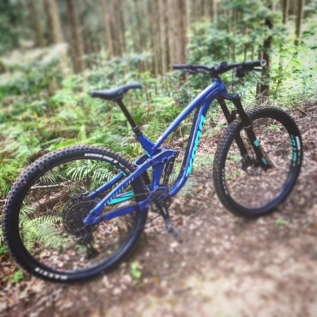 How76YxxyM8jf4G's tweet photo. 先ずは『現実逃避』から
スッタートぉ〜〜😅👍
#jetcycle #konabikes #konabikeshop #process #process153 #この後開店 #お休みじゃないのよ https://t.co/k09ad5mDUf